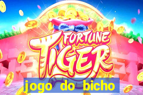 jogo do bicho documentario globoplay